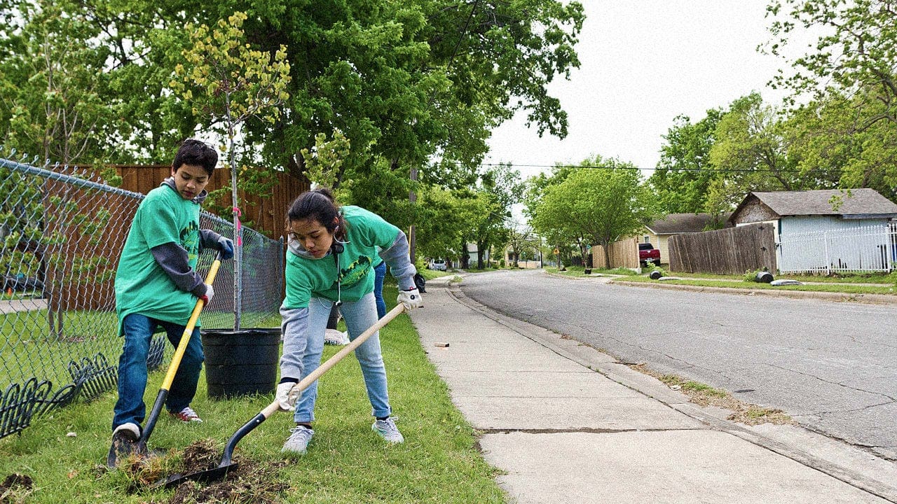 dallas neighborhood planting trees