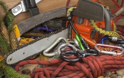 I would highly recommend these guys to cut trees in anyone’s yard!