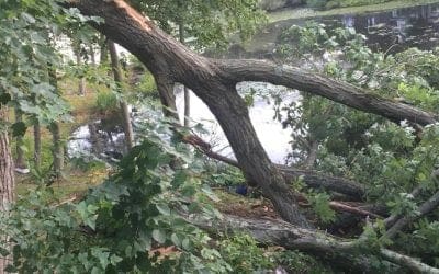 Great service and fair billing.