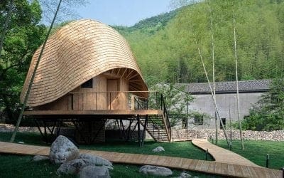 Elevated treehouse villa is topped with a hat-like roof | TreeHugger