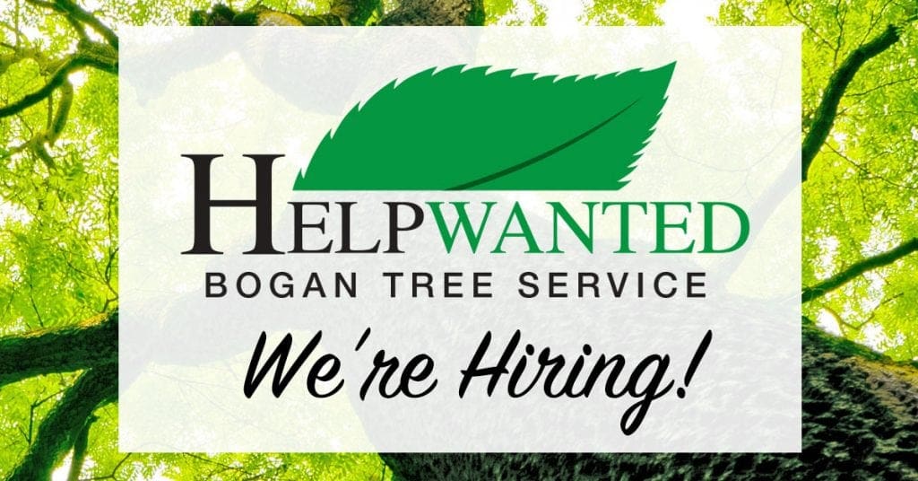 Tree Care Workers Wanted! Bogan Tree Service is Hiring! Bogan Tree