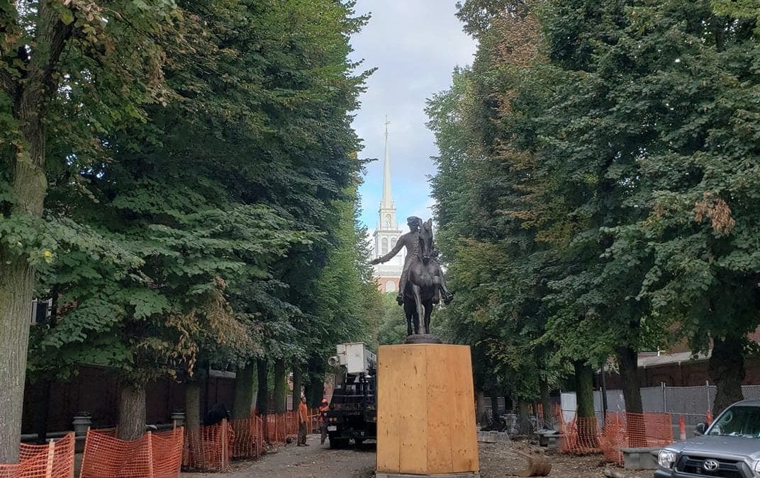 Pruning for Paul today