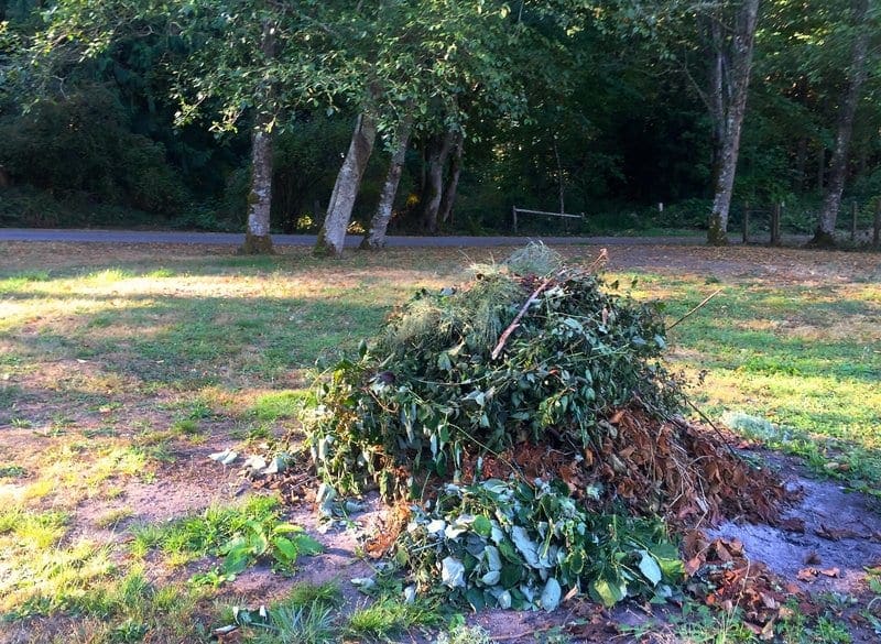 To Protect Pollinators Go Easy On The Fall Garden Cleanup Bogan Tree Service