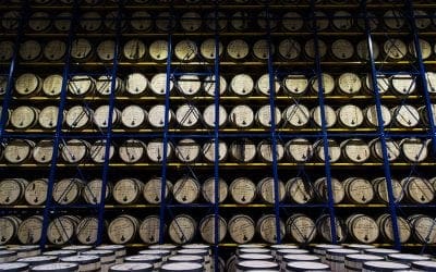 Notes of Oak – American Forests