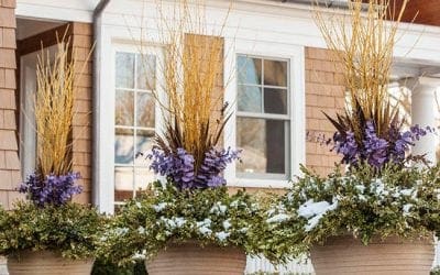 Protect Shrubs from Winter Damage | Better Homes & Gardens