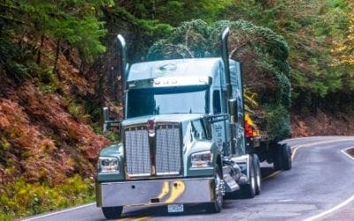 SWEET HOME TO DC: The 2018 Capitol Christmas Tree begins its journey | Your Northwest Forests