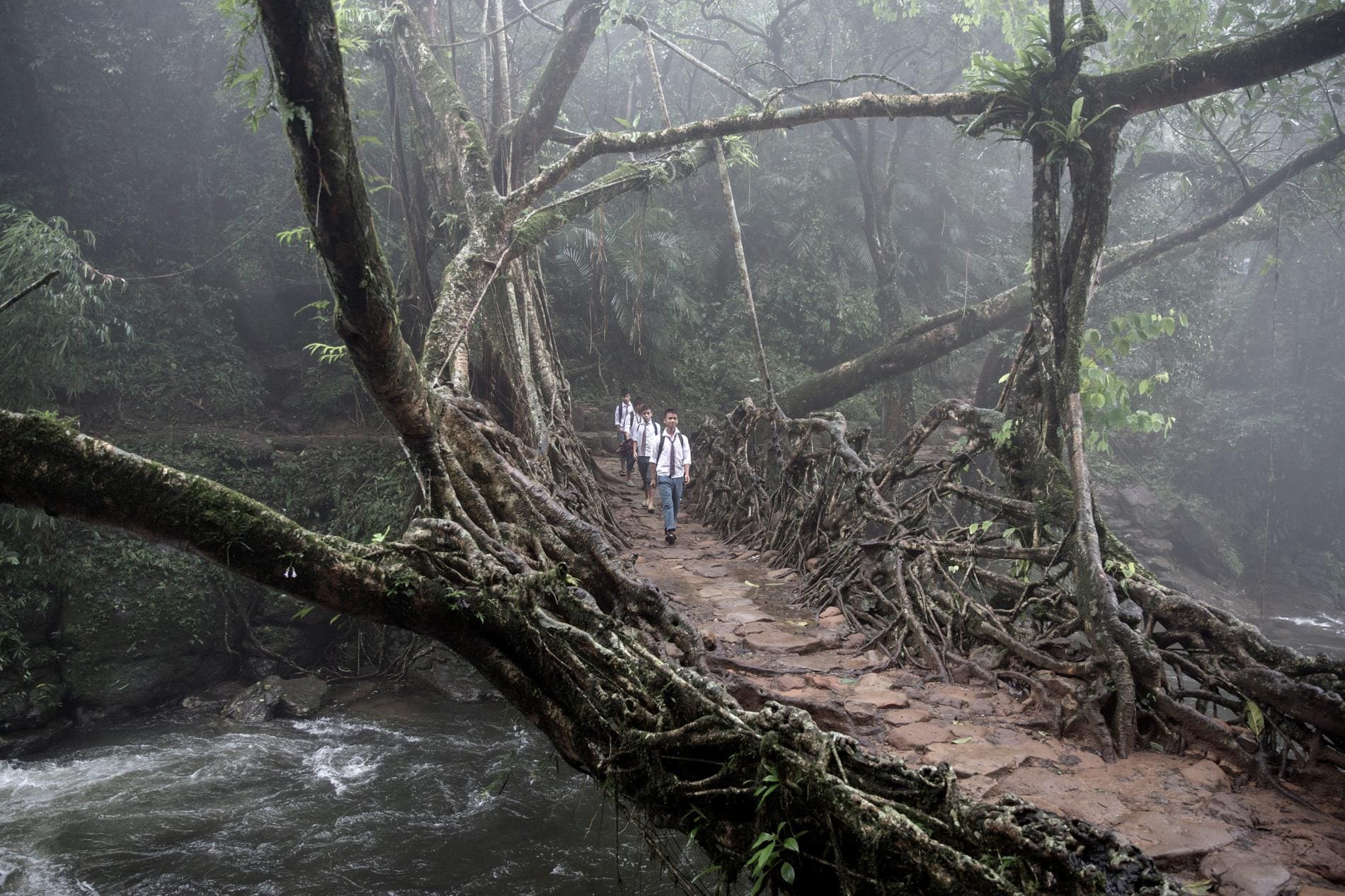 school boys on living root bridge meghalaya india