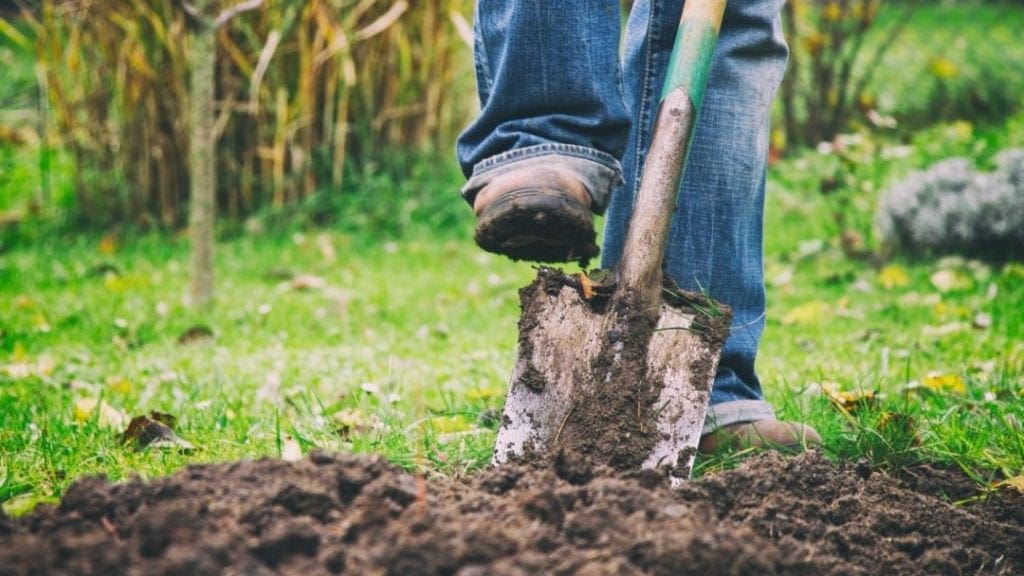 spade digging