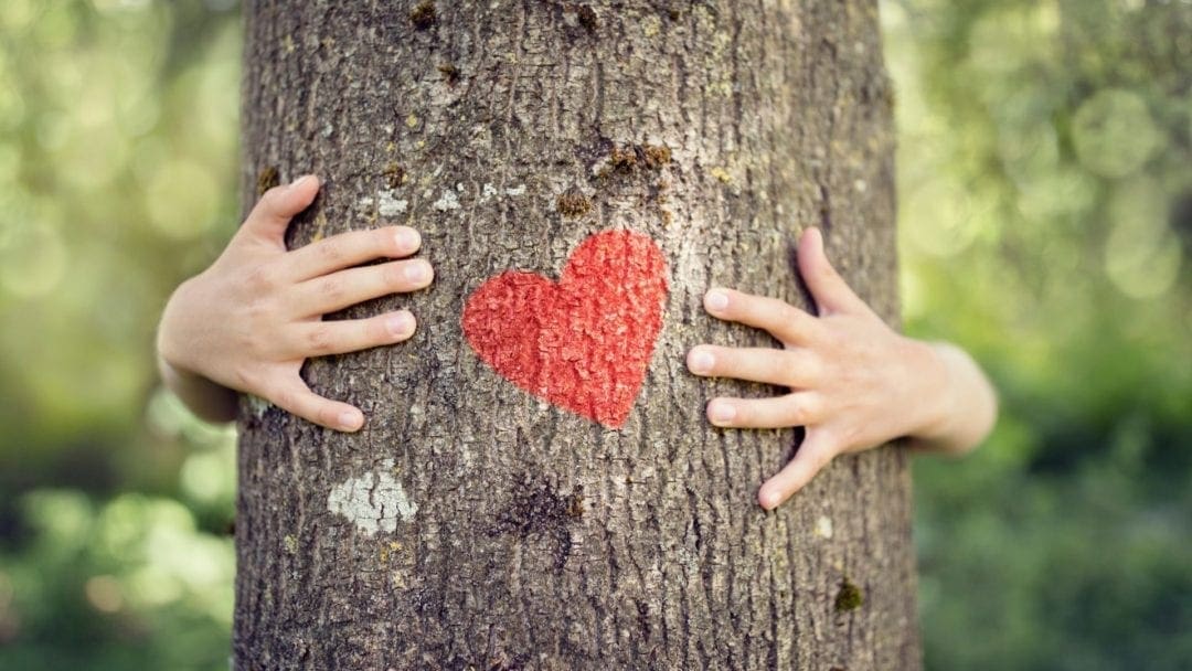 Could You Pass This Junior Arborist Test? • Arbor Day Blog