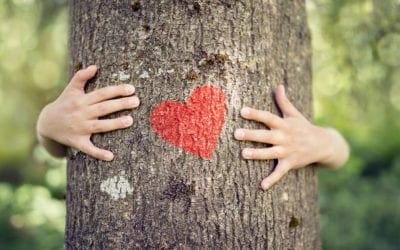 Could You Pass This Junior Arborist Test? β’ Arbor Day Blog