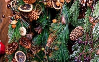 9 Natural Ways to Decorate an Outdoor Tree • Arbor Day Blog