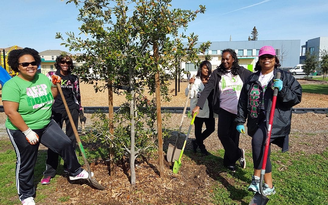 4 Winter Tree Care Tips – Canopy : Canopy