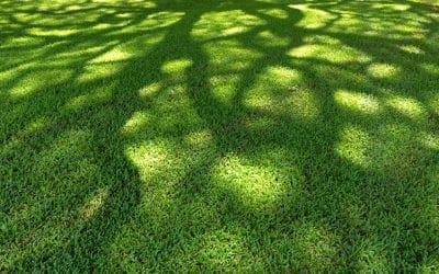 “Great job. I am very pleased.”