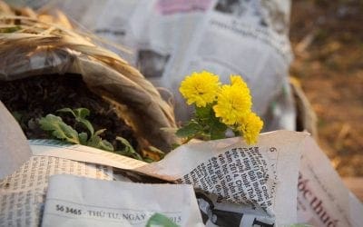 How to keep houseplants alive while you’re away | TreeHugger