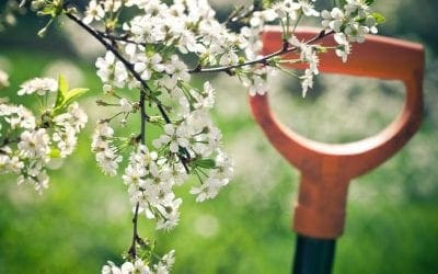 How to garden with allergies | MNN – Mother Nature Network