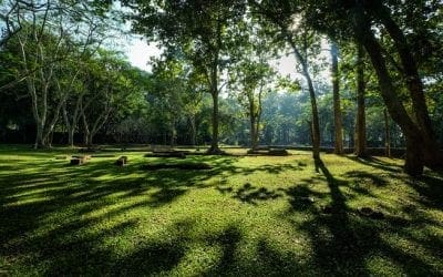 How to make a sun map of your garden | MNN – Mother Nature Network