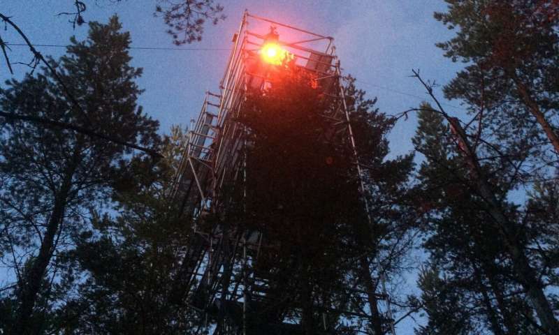 Research structure at Hyytiälä, Finland.