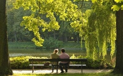 Two hours of nature a week improves health and wellness | TreeHugger