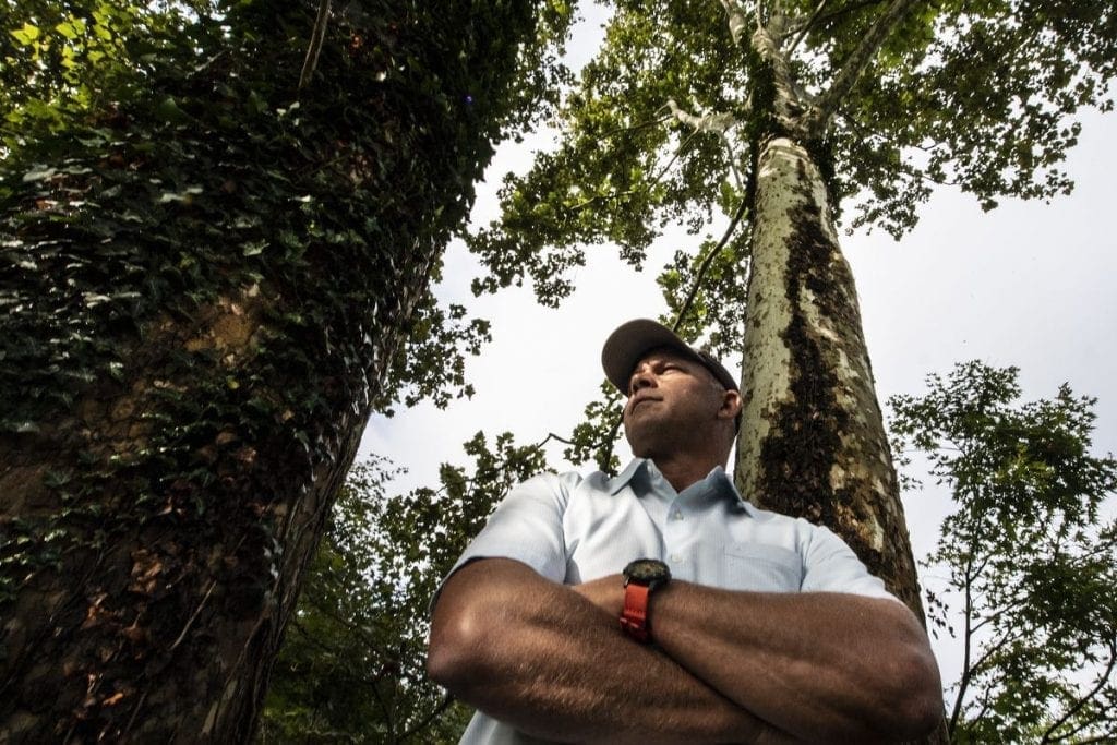 tree detective
