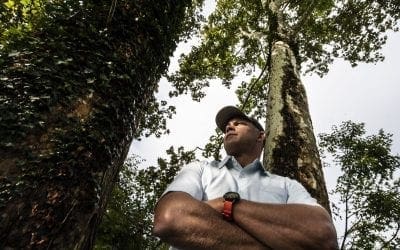 Here’s advice from a self-professed tree-hugger and tree detective | The Philadelphia Inquirer