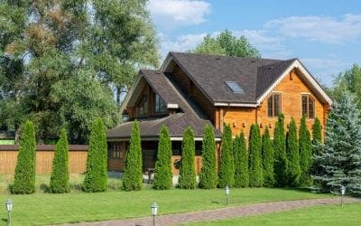 5 Tips to Landscape with Trees | Arbor Day Blog