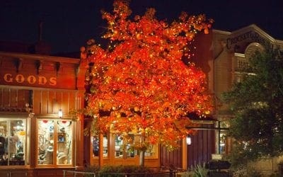 The Legend of Disneyland’s Halloween Tree | D23