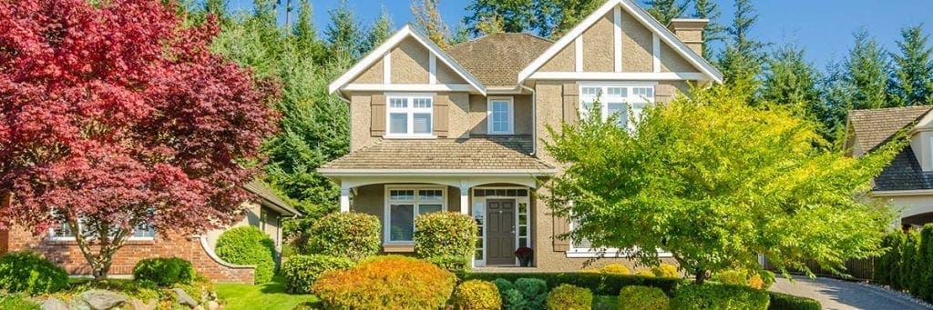 landscaped yard