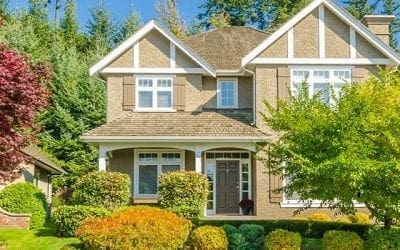 Tree Care Tips & Techniques at arborday.org