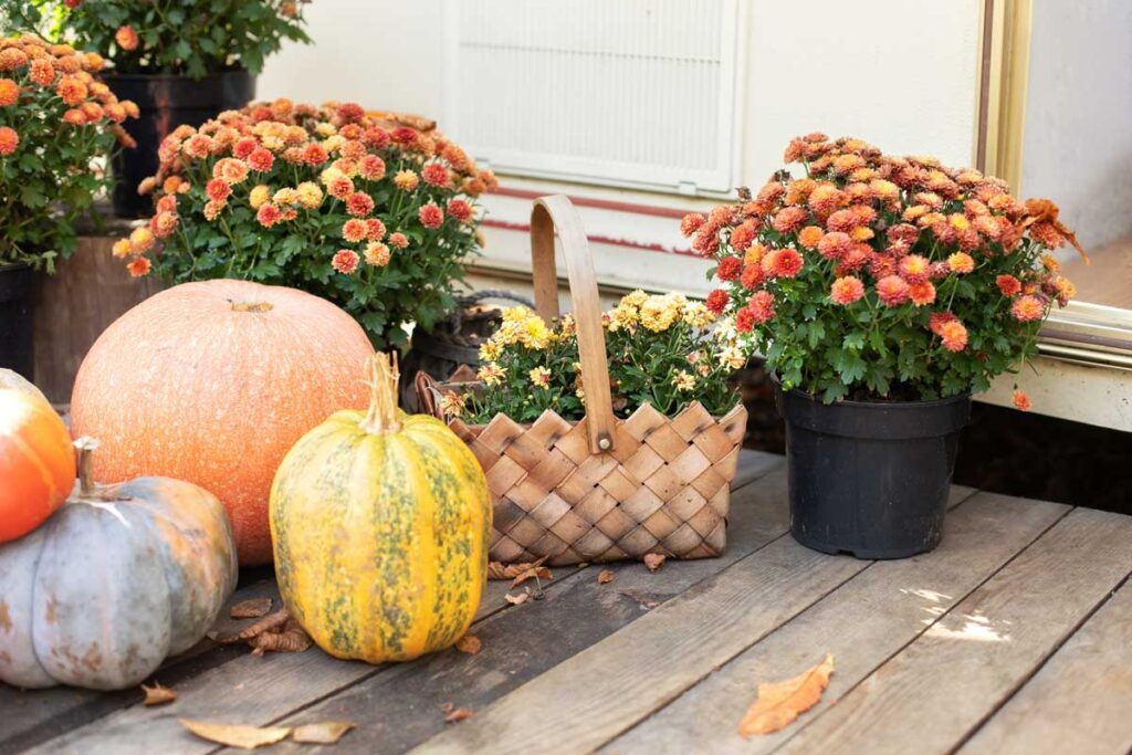 fall landscaping