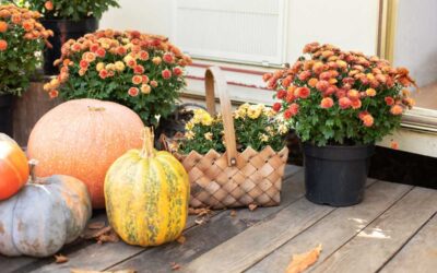 Fall Landscaping Ideas for 2019: Get Your Coziest Yard Yet | Real Simple