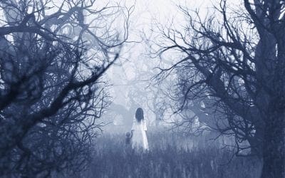 10 horror movies where the forest is the main character | MNN