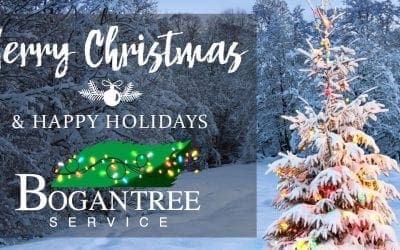 Merry Christmas 2019!