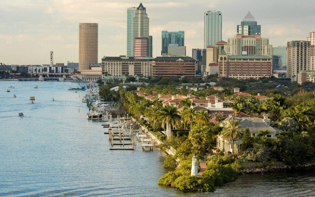 Green streets: which city has the most trees? | The Guardian