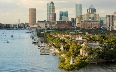 Green streets: which city has the most trees? | The Guardian