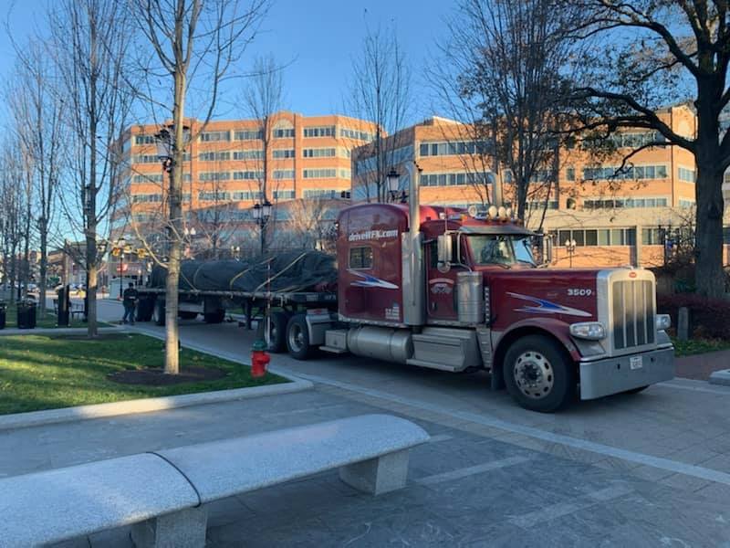 quincy center christmas tree
