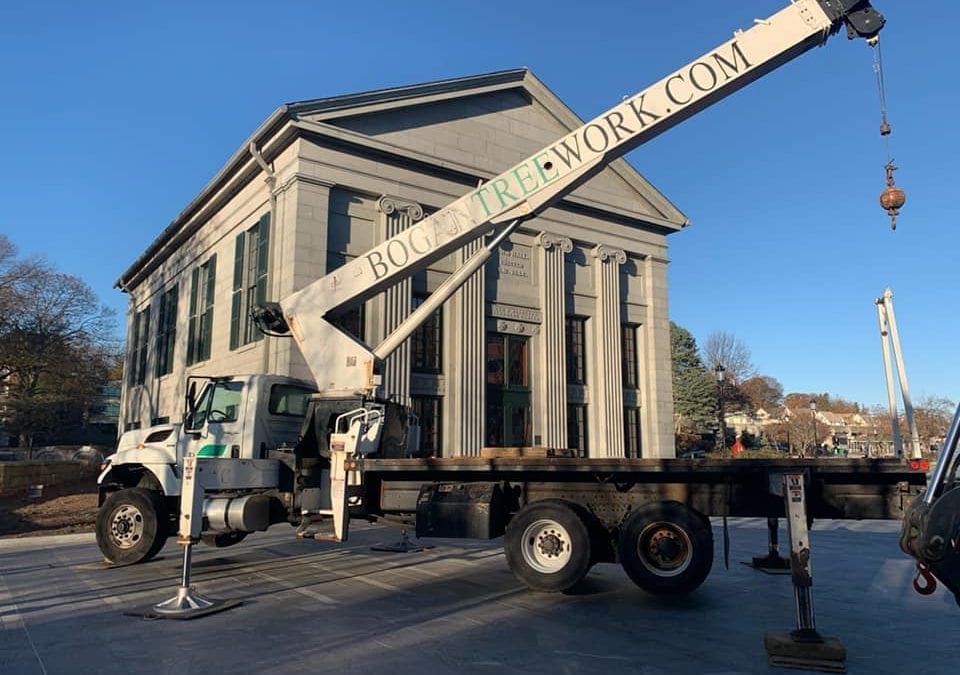 Christmas Trees going up this morning at Quincy City Hall!!!!