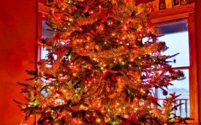 The History of Christmas Trees — Christmas Customs and Traditions — whychristmas?com