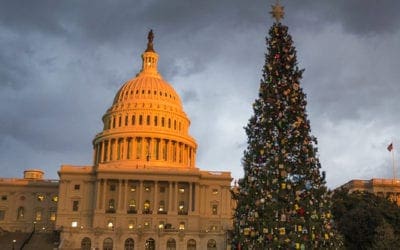 Sourcing, Cutting, & Transporting The U.S. Capitol Christmas Tree | Turf Magazine