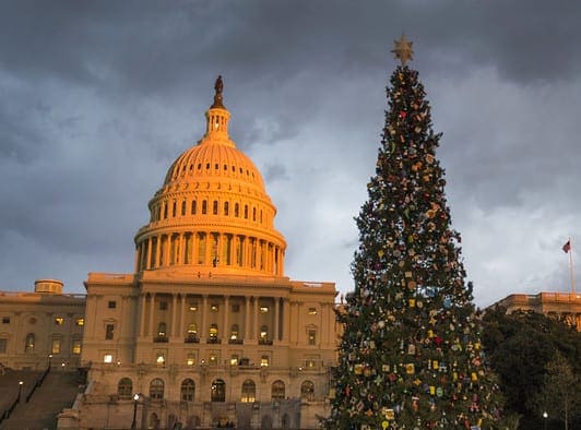 capitol christmas tree