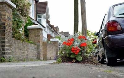 How to Find More Space to Garden Anywhere – Horticulture