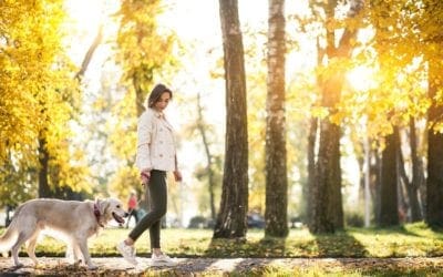 Living near green spaces can help you live longer | MNN – Mother Nature Network