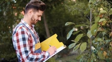 Spring Tree Care Checklist | Turf Magazine