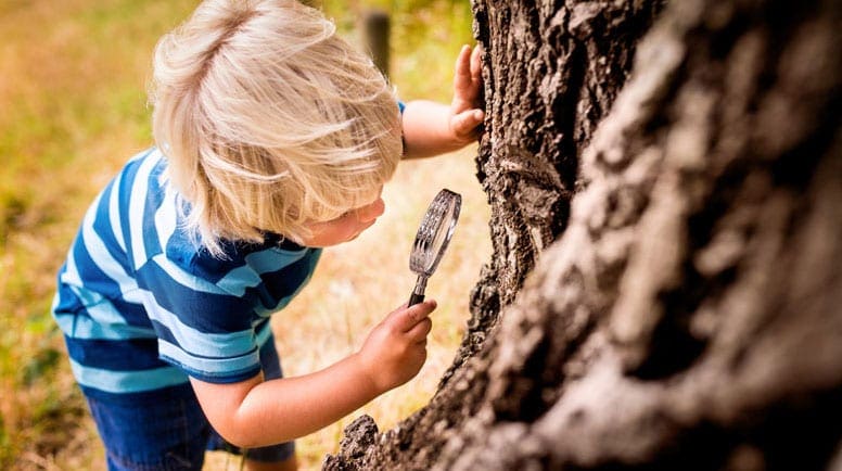 boy studying a tree with a magnifying glass