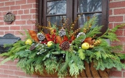 8 Festive Ideas for Winter Container Gardens | Love Your Landscape