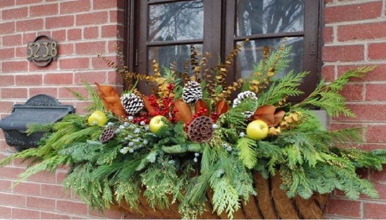 flower pot container on windowsill