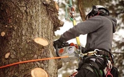 These Are the Most Dangerous Lawn and Garden Tools | Bob Vila