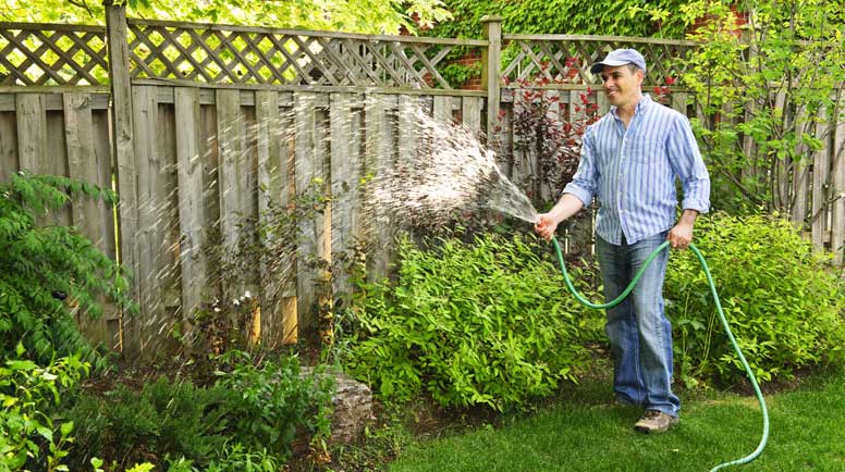 watering the shrubs