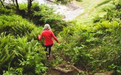 Walking is the calming, restorative activity we need right now | MNN – Mother Nature Network