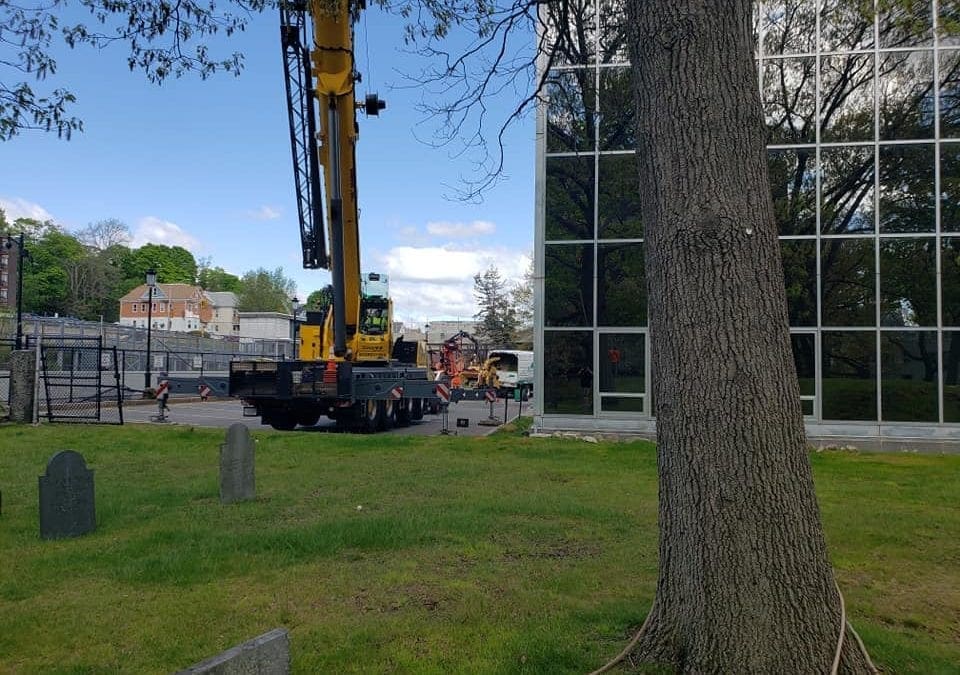 Photos from the Weekend: Saturday Surgery at Hancock Cemetery