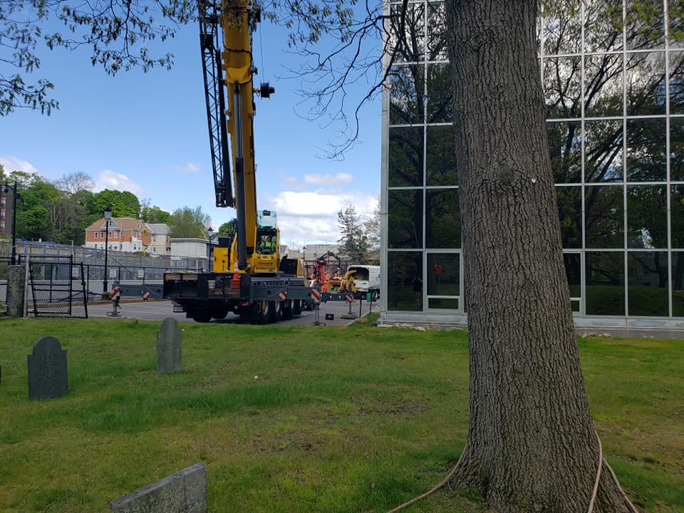 Bogan Tree Service working in Quincys Hancock Cemetery